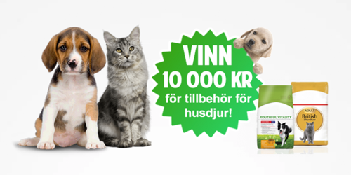 vinn 10 000 kr hundmat